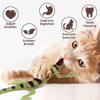 Jouets lézard herbe-aux-chats, jouets résistants aux morsures à mâcher pour chats d'intéri – vue 2
