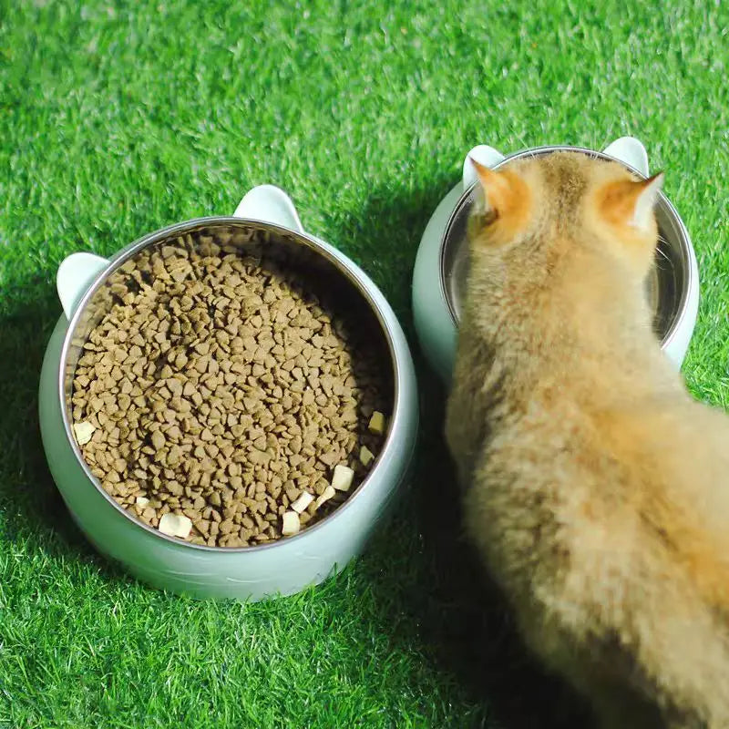 100/200ml bol pour chat incliné chaton chiot nourriture bols d'alimentation en acier inoxy – vue 3