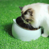 100/200ml bol pour chat incliné chaton chiot nourriture bols d'alimentation en acier inoxy – vue 4